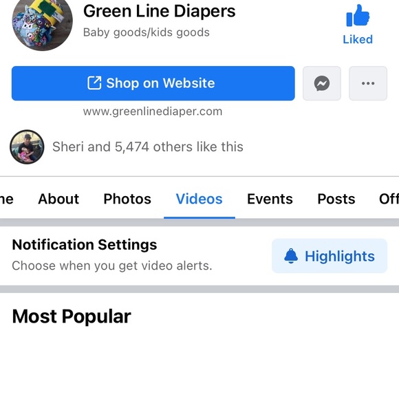 Greenline Cloth Diapers 21 covers and 21 bamboo terry flat inserts. All new! - Picture 12 of 14